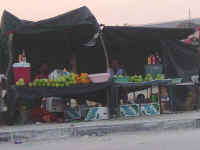 marketfruit.jpg (24490 bytes)