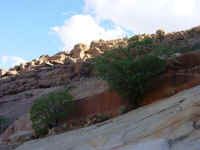 Brandberg Mountain Namibia